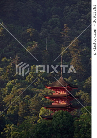 宮島的五重塔Senjokaku 36913263