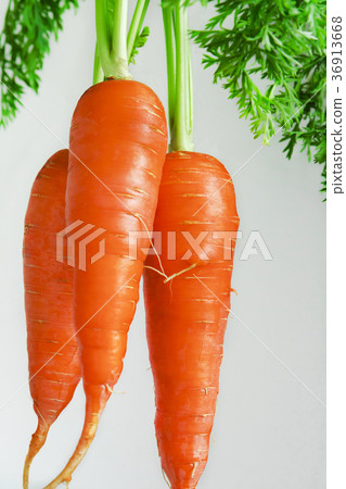 胡蘿蔔，蔬菜，維他命，ニンジン、野菜、ビタミン、Carrots, vegetables, 36913668