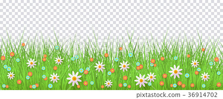vector easter background with eggs, flowers, grass vector easter background with eggs, flowers, grass 36914702
