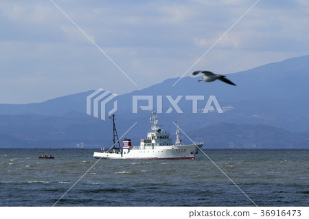 Miike Port A research vessel calling at the port, 36916473