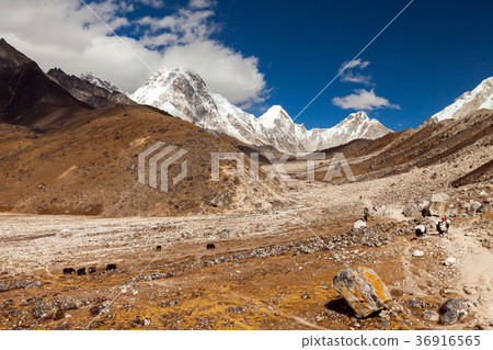 snowy mountains. Nepal, Himalayas snowy mountains. Nepal, Himalayas 36916565