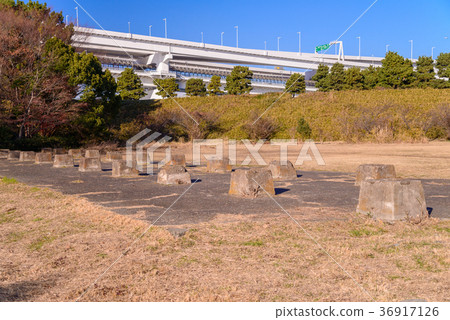 A campsite trace of Daiba Park (3rd Daiba) A campsite trace of Daiba Park (3rd Daiba) 36917126