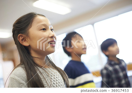 primary school 36917453