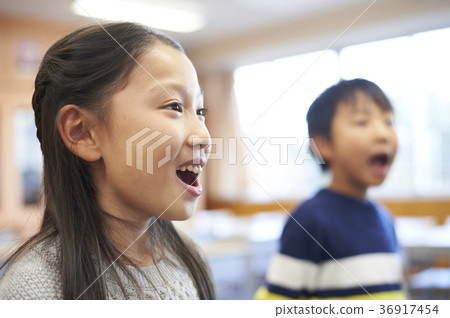 primary school primary school 36917454