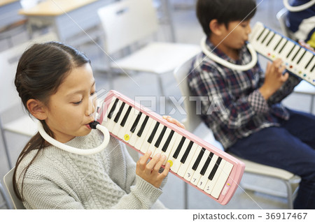 primary school primary school 36917467