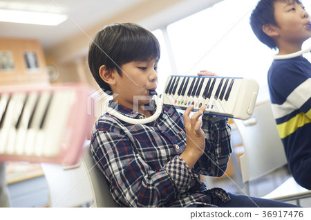 primary school primary school 36917476