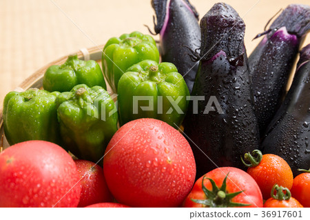 Assorted summer vegetables (home garden) Shizuru Assorted summer vegetables (home garden) Shizuru 36917601