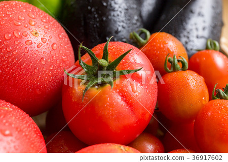 Assorted summer vegetables (home garden) tomato eggplant Shizuru Assorted summer vegetables (home garden) tomato eggplant Shizuru 36917602