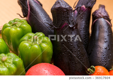 Assorted summer vegetables (home garden) Shizuru Assorted summer vegetables (home garden) Shizuru 36917604