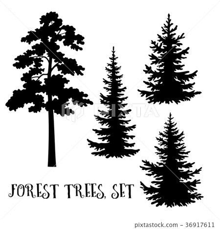 Trees Silhouettes Trees Silhouettes 36917611