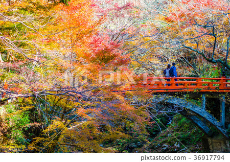 Kyoto Takaosan 36917794