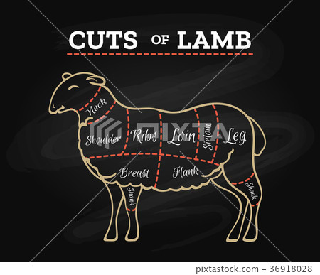 Lamb butcher chalkboard scheme 36918028