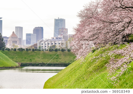 Chidoriabuchi Kiyoshino Chidoriabuchi Kiyoshino 36918349