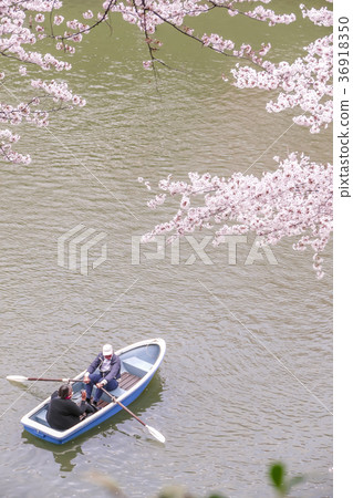 Chidoriabuchi Kiyoshino Chidoriabuchi Kiyoshino 36918350