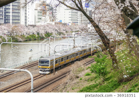 Central and Sobu Rake Line Series E231 Central and Sobu Rake Line Series E231 36918351