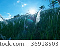 A look at Hualien Nanbin Apartment 36918503