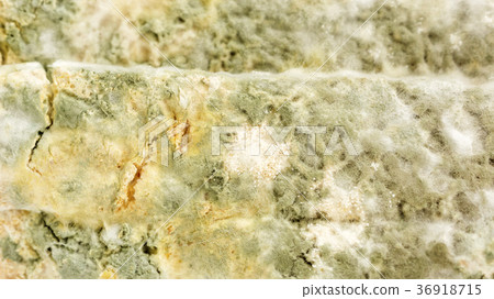 Close up of bread has a fungus. 36918715