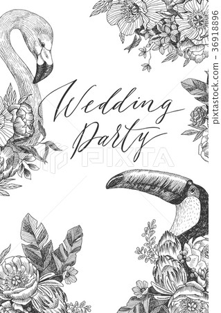 Vector drawing bird Flamingo and tukan with Vector drawing bird Flamingo and tukan with 36918896