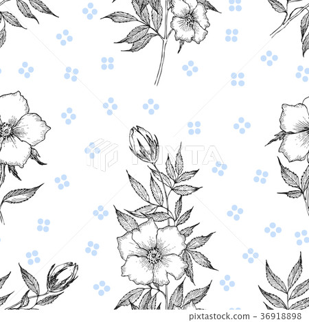 Seamless pattern. Vintage botanical illustration 36918898