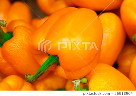 colorful bell peppers, natural background 36918904