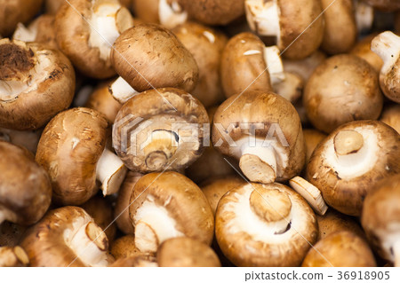 Fresh champignons. Champignon mushrooms background 36918905