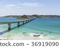 Kakushima Bridge 36919090