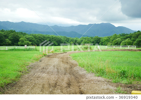 Ranch 36919340