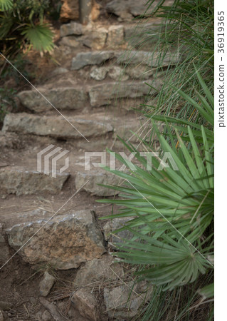Stone steps in the middle of the park 36919365