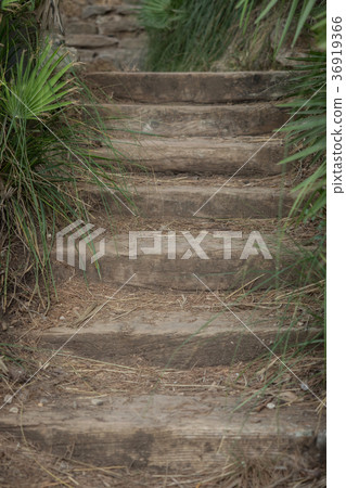 Wooden steps in the middle of the park 36919366