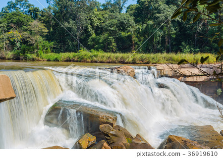 Beautiful waterfall in green forest in jungle 36919610