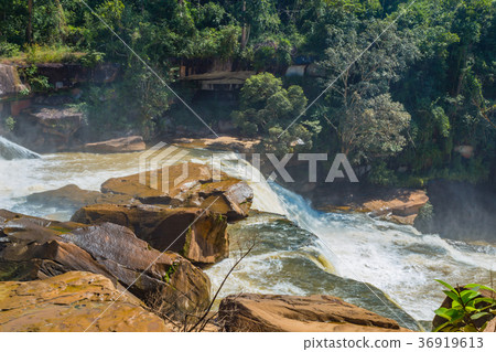 Beautiful waterfall in green forest in jungle 36919613