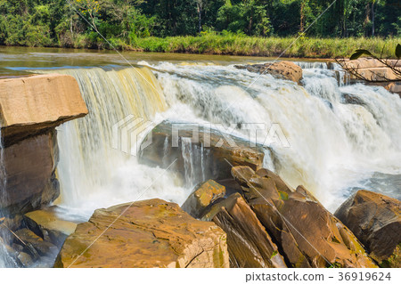 Beautiful waterfall in green forest in jungle Beautiful waterfall in green forest in jungle 36919624