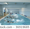 swimming lessons  with a coach 36919685