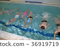 swimming children in swimming lessons 36919719