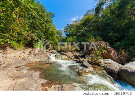 Mountain fast flowing river stream of water 36919768