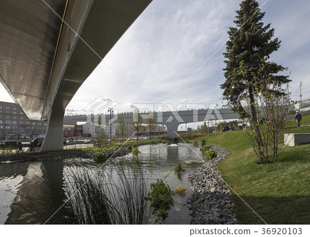 Floating bridge of Zaryadye park in Moscow,Russia 36920103