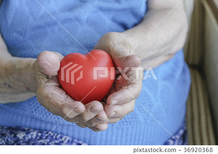 wrinkled hands holding a red heart wrinkled hands holding a red heart 36920368