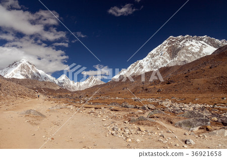 Nuptse, Everest region, Himalaya, Nepal 36921658