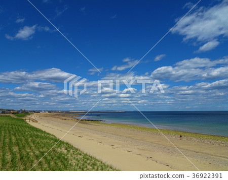 Sandwich Boardwalk Beach Sandwich Boardwalk Beach 36922391