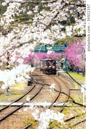 Kobe Station in Spring (Vertical) Kobe Station in Spring (Vertical) 36922397