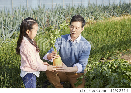 Dad, Daughter, Family, Countryside, Korea 36922714