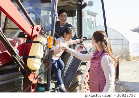 爸爸，媽媽，女兒，家庭，農村，生活 36922788