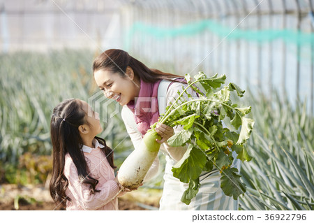 Mom, Daughter, Family, Korean, Field, Life Mom, Daughter, Family, Korean, Field, Life 36922796