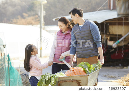 Dad, mom, daughter, family, countryside, living Dad, mom, daughter, family, countryside, living 36922807