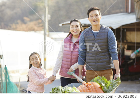 爸爸，媽媽，女兒，家庭，農村，生活 36922808