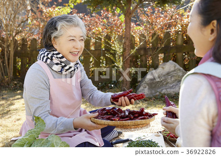 成年人，婦女，泡菜，泡菜，生活 36922826