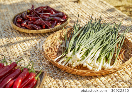 Vegetables, ingredients, cabbage kimchi, kimchi Vegetables, ingredients, cabbage kimchi, kimchi 36922830