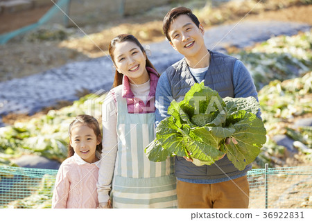 爸爸,媽媽,女兒,家庭,農村,生活 爸爸,媽媽,女兒,家庭,農村,生活 36922831