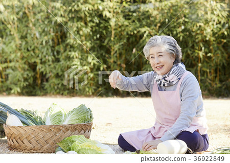 金，高級，女，韓國 36922849