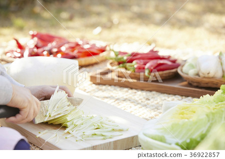 手，圓白菜泡菜，kimjang，特寫鏡頭 36922857